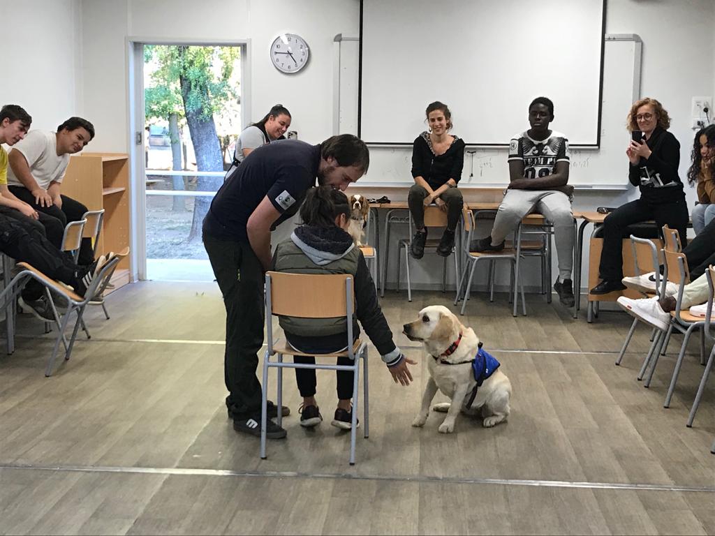 Probitas Foundation starts an educational intervention program with dogs