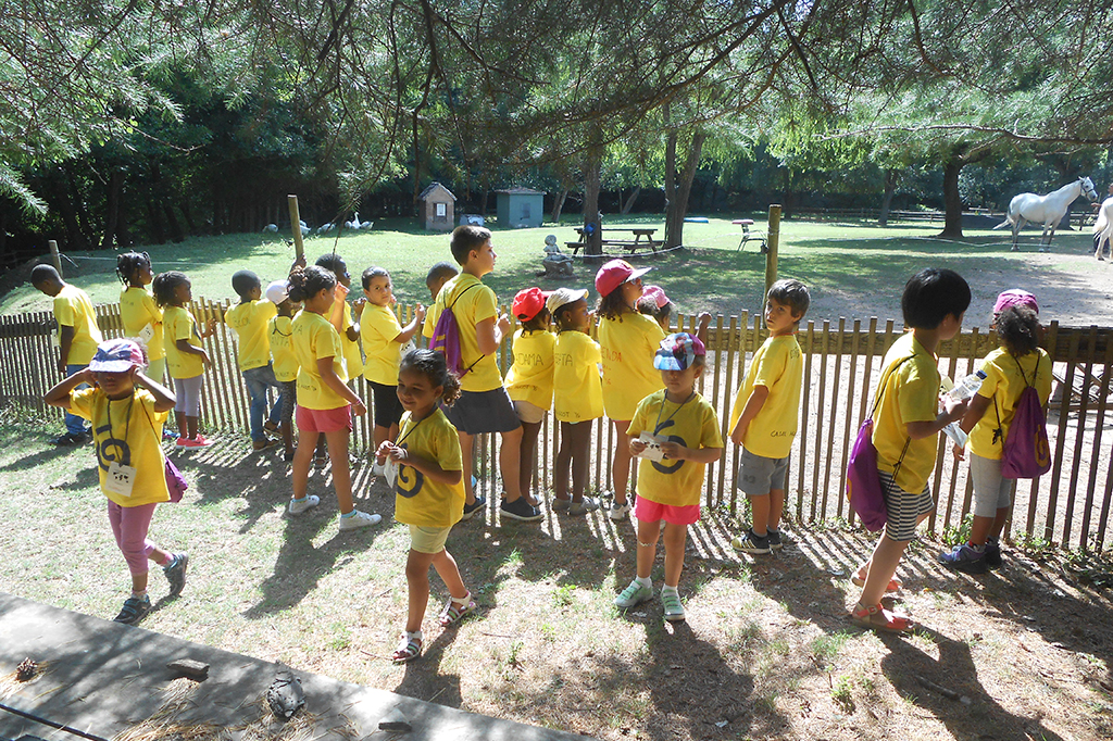 More than 4,100 children at risk of social exclusion have benefited from the aid that Probitas Foundation offers in the months of July and August through its RAI Summer Program