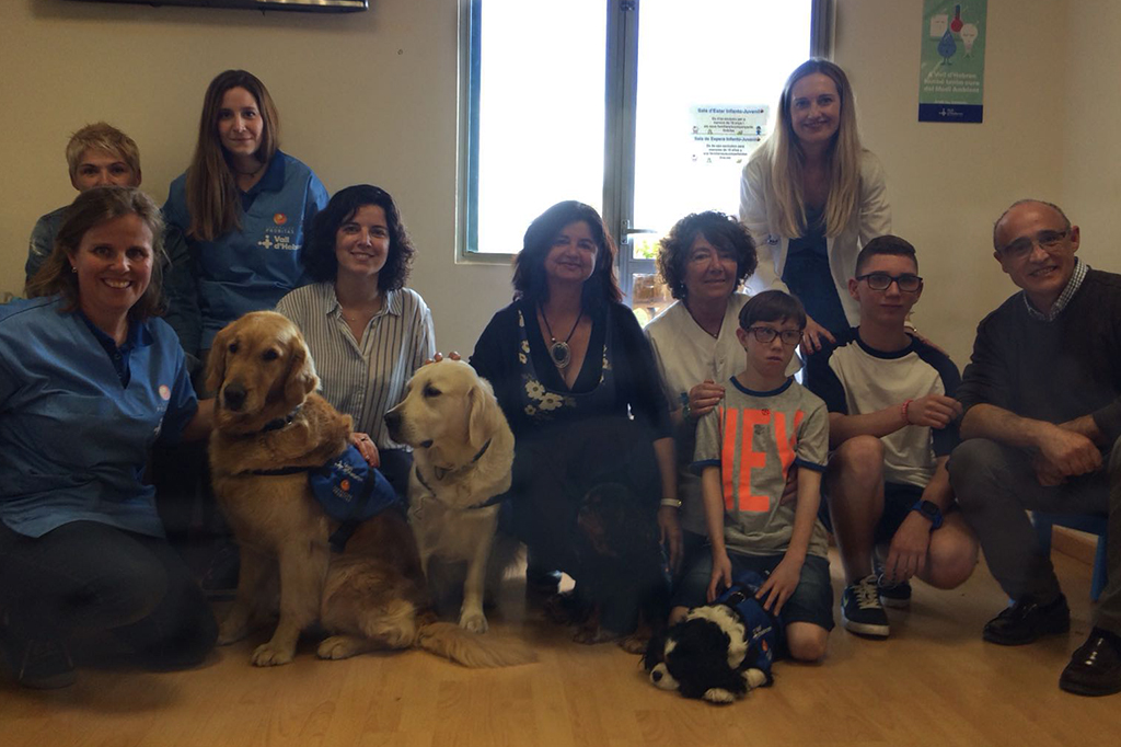 Dog therapy