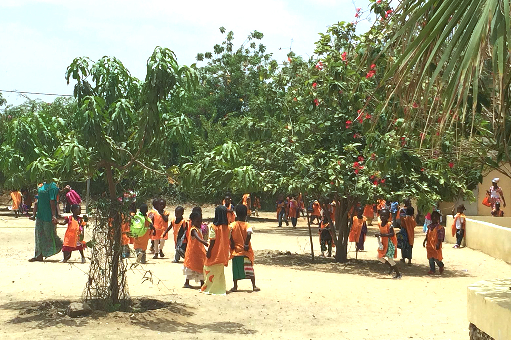 Probitas Foundation travels to Richard-Toll municipality to visit ALVES project