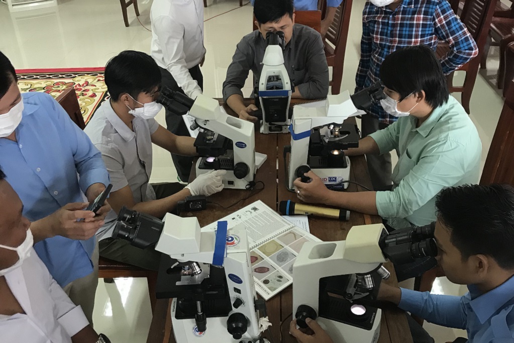 Developing capacity to monitor parasitic NTDs through Kato-Katz in Cambodia