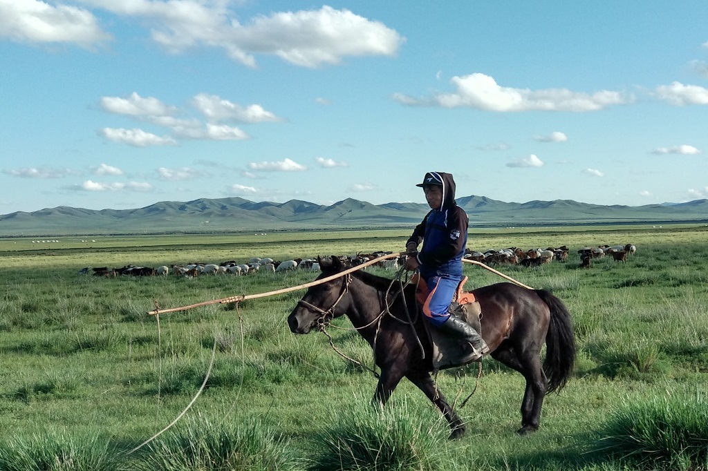 Update on progress on CE control in Mongolia