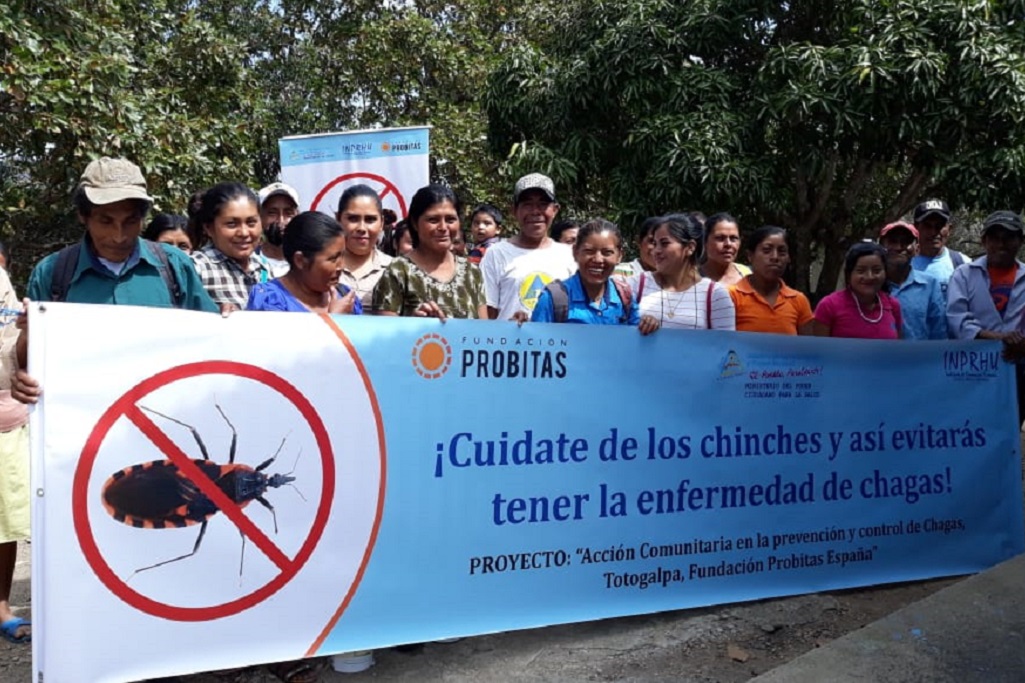 A project to combat Chagas, supported by the Probitas Foundation, ends in Nicaragua