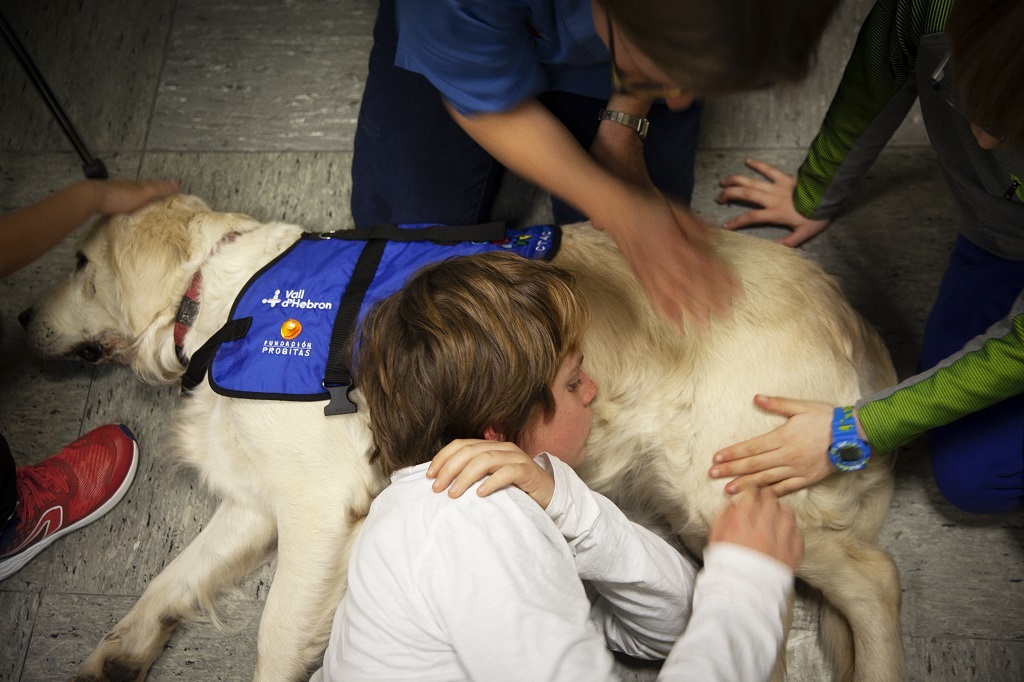 A study from the Vall d'Hebron Hospital shows that dog-assisted therapy is effective in the treatment of fetal alcohol syndrome